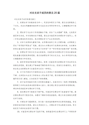 对总支班子成员的意见20篇.docx