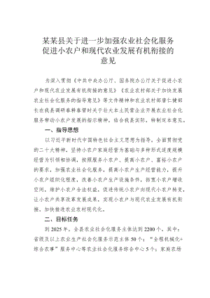 某某县关于进一步加强农业社会化服务促进小农户和现代农业发展有机衔接的意见.docx