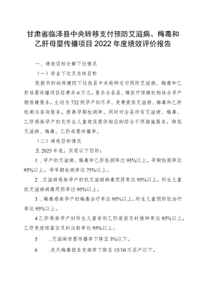 甘肃省临泽县中央转移支付预防艾滋病、梅毒和乙肝母婴传播项目2022年度绩效评价报告.docx