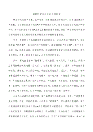 调查研究专题研讨讲稿发言.docx