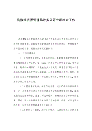 县数据资源管理局政务公开专项检查工作自查报告.docx