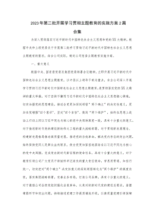 2023年第二批开展学习贯彻主题教育的实施方案2篇合集.docx