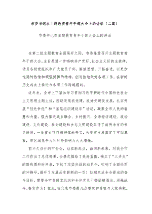 市委书记在主题教育青年干部大会上的讲话(二篇).docx