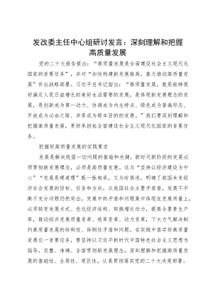 发改委主任中心组研讨发言：深刻理解和把握高质量发展.docx