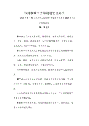 郑州市城市桥梁隧道管理办法.docx