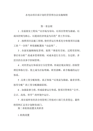 水电站项目部计划经营管理办法实施细则.docx