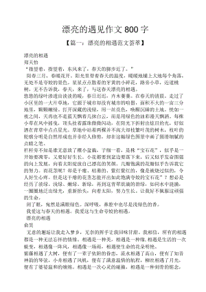 美丽作文之美丽的遇见作文800字.docx