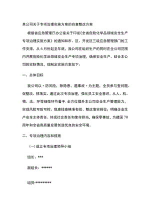 某公司关于专项治理实施方案的自查整改方案.docx