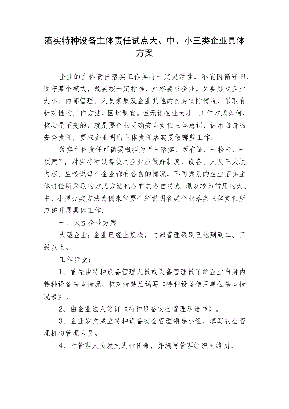 落实特种设备主体责任试点大、中、小三类企业具体方案.docx_第1页