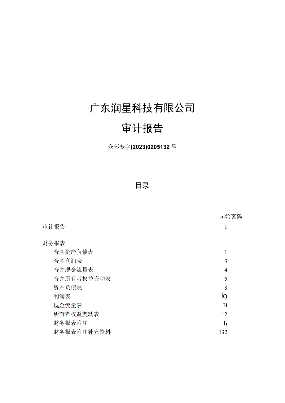 华东重机：广东润星科技有限公司审计报告.docx_第1页