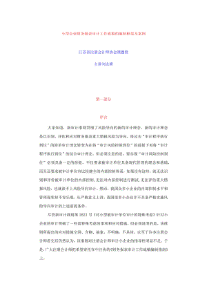 小型企业财务报表审计编制框架及案例.docx