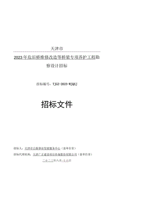 2023年危旧桥维修改造等桥梁专项养护工程勘察设计招标文件.docx