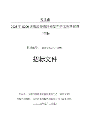 2023年S206塘港线等道路修复养护工程勘察设计招标文件.docx