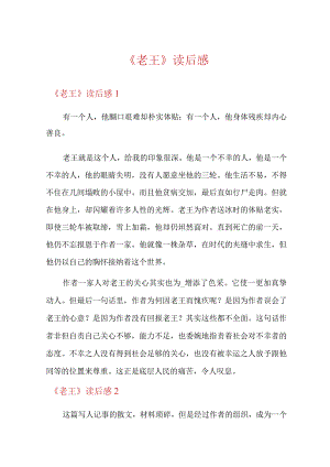 《老王》读后感.docx