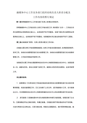 融媒体中心工作室各部门组织结构负责人职责分配及工作内容的暂行规定.docx