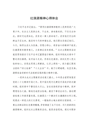 传承红旗渠精神主题教育活动心得体会十三篇.docx