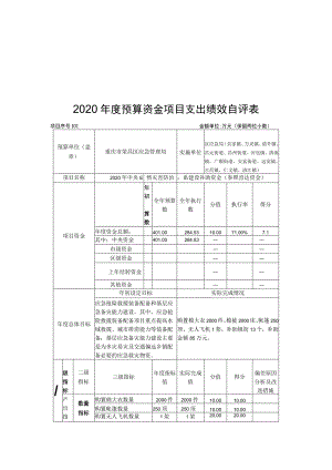 表一2020年度预算资金项目支出绩效自评表.docx