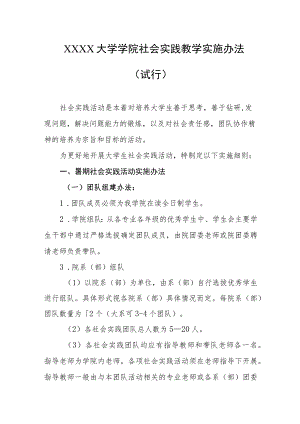 大学学院社会实践教学实施办法（试行）.docx