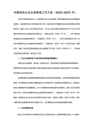 市属国有企业合规管理工作方案(2023—2025年).docx