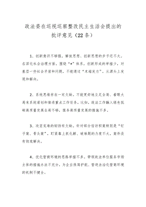 （22条）政法委在巡视巡察整改民主生活会提出的批评意见.docx