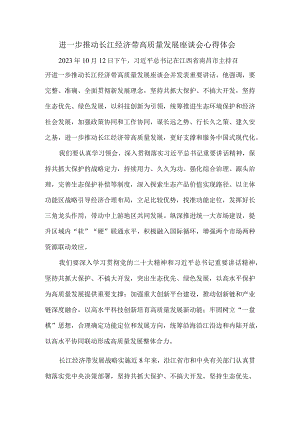 进一步推动长江经济带高质量发展座谈会心得体会.docx