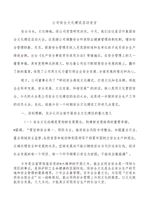 公司安全文化建设启动发言.docx