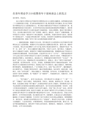 在青年理论学习小组暨青年干部座谈会上的发言.docx