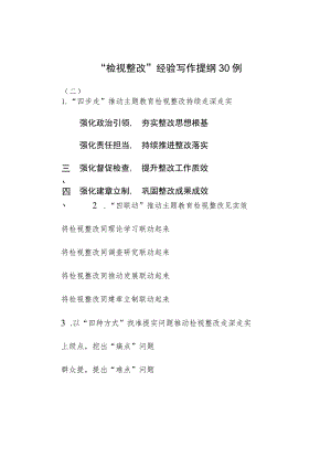 “检视整改”经验写作提纲30例（二）.docx