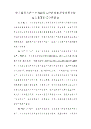 学习践行在进一步推动长江经济带高质量发展座谈会上重要讲话心得体会.docx