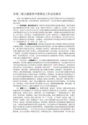 市第二批主题教育开展情况工作总结报告.docx