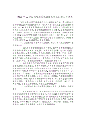 应急管理系统普法与依法治理工作要点.docx