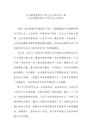 在主题教育青年干部大会上的讲话二篇.docx