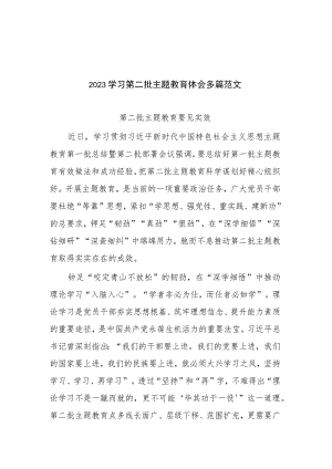 2023学习第二批主题教育体会多篇范文.docx