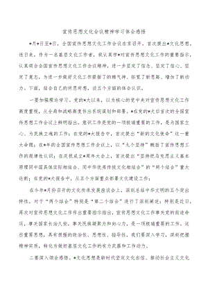 宣传思想文化会议精神学习体会感悟.docx