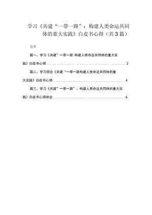 学习《共建“一带一路”：构建人类命运共同体的重大实践》白皮书心得（共3篇）.docx