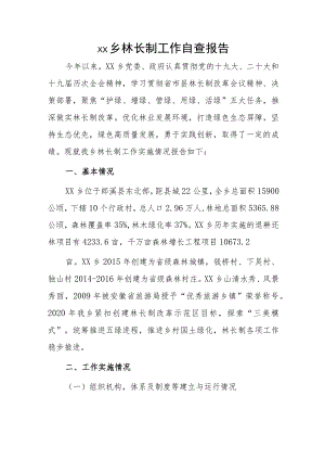 xx乡林长制工作自查报告.docx