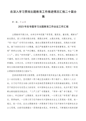 在深入学习贯彻主题教育工作推进情况汇报二十篇合集.docx