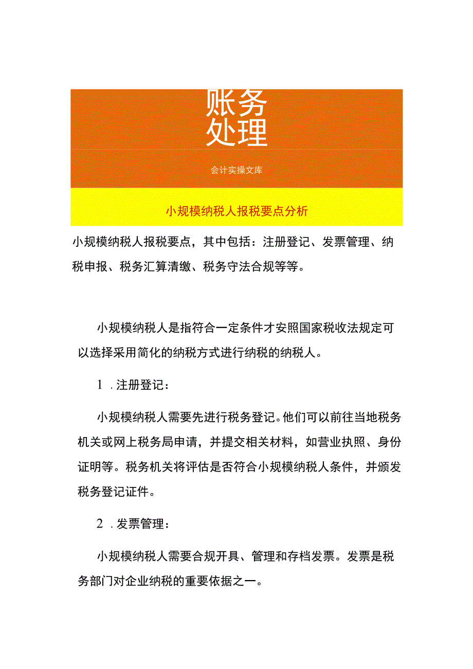 小规模纳税人报税要点分析.docx_第1页