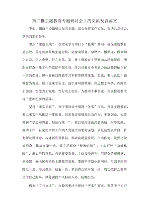 第二批主题教育专题研讨会上的交流发言范文.docx