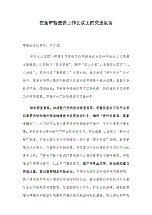 在全市督查委工作会议上的交流发言.docx