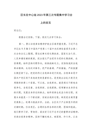 区长在中心组2023年第三次专题集中学习会上的发言范文稿.docx