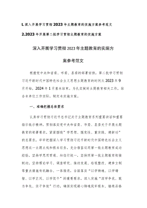 2023年开展第二批学习贯彻主题教育的实施方案参考范文2篇.docx