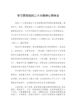 纪检干部关于贯彻党的二十大精神的学习心得体会十一篇.docx