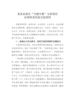 某某县抓住“关键少数”完善基层治理体系经验交流材料.docx