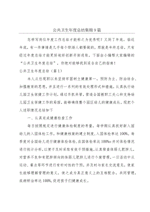 公共卫生年度总结集锦9篇.docx