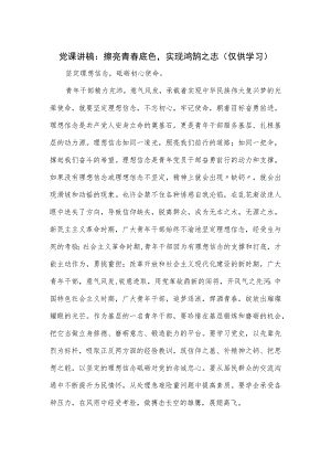 党课讲稿：擦亮青春底色实现鸿鹄之志.docx