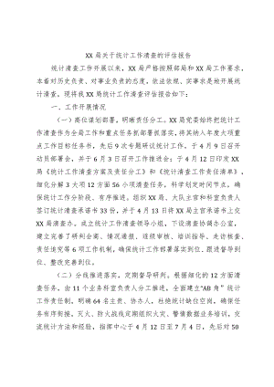 xx局关于统计工作清查的评估报告.docx