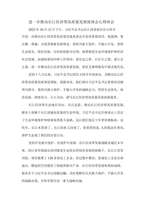 进一步推动长江经济带高质量发展座谈会心得体会二.docx