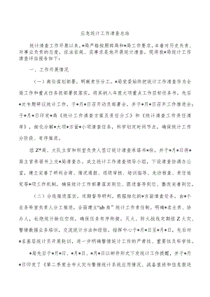 应急统计工作清查总结.docx