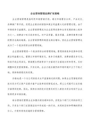 企业营销管理品牌扩张策略.docx